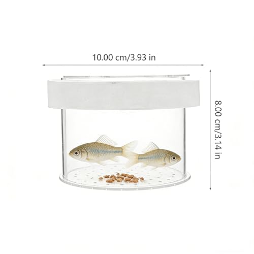 Ipetboom Fish Tank Separate Box Floating Aquarium Breeding Box with Lid 4.72X4.72X3.14In Acrylic Fish Isolation for Small Guppy Fry