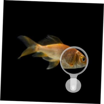 VICASKY Microlandscape Magnifier for Fish Tanks Educational Ants Observation Tool Easy Install Design with Strong Suction Cup for Exploring Small Animals Plants
