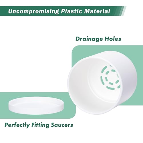 D'vine Dev 6 Pack 4 Inch Modern Plastic Plant Pots, Small Garden Planters for Plant with Drainage Holes and Saucers, White Color, 74-Z-E-3 - size: 4"