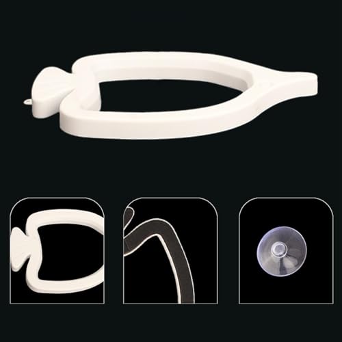 Feeding Ring for Fish Tank | Floating Suction Cup Small Food Feeder,Fish Betta Feeding Ring | for Saltwater Freshwater Tanks Habitats
