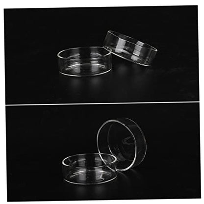 BESPORTBLE 3pcs Round Shrimp Feeder Dish Crystal Transparent Bowl for Aquarium Shrimp and Reptiles Durable Pet Food Bowl Decorative Feeding Container for Fish Tanks - size: Size 1