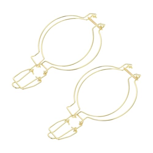 2pcs Stainless Steel Spring Buckle Clips for Glass Jars, Wire Clamps for Canning Jars with Easy to Use Versatile Application, for Kitchen and Restaurant Storage