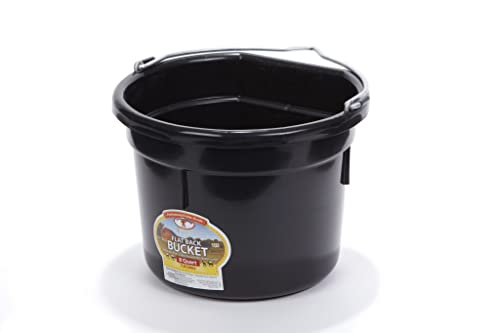 Little Giant® Flat Back Plastic Animal Feed Bucket | Animal Water and Feed Bucket with Metal Handle | 8 Quarts | Black - color: Black