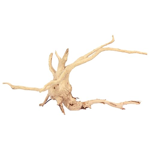 Kisangel Natural Driftwood Branch Aquarium Decoration 7.87 Inch Real Wood Fish Tank Ornament for Freshwater Aquatic Plant Anchoring and Fish Shelter