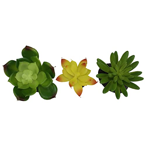 Komodo Reptile Terrarium Succulent 3PK Yellow/Green Plants | Natural Looking Artificial Aquarium Ornament & Habitat Decoration Accessory with Weighted Base