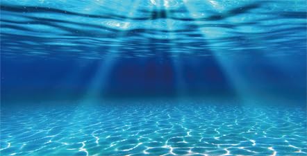 Natural Undersea Aquarium Background, Underwater Ocean Sunlight Fish Tank Background 24X12IN with 8 EVA Double-Sided Tape - color: Ocean, size: 24X12in/60X30cm