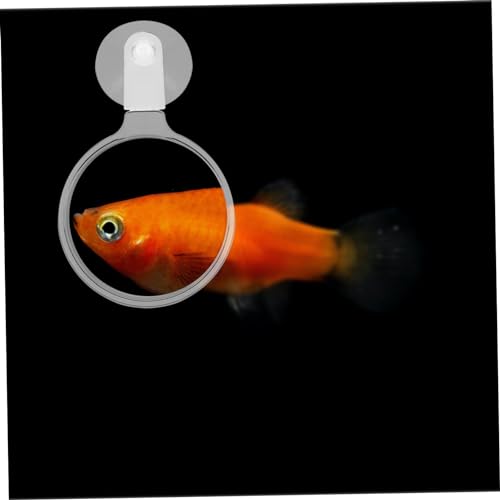 TOYANDONA Aquarium Glass Cup Easy Install Fish Tank Viewer for Small Animals Plants and Landscapes Lens for Observation