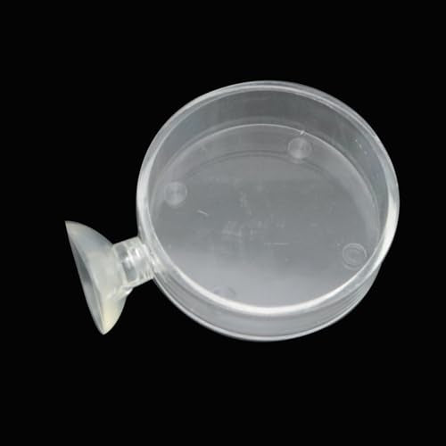 Transparent Feeding Bowl Acrylic Round Hollow Bowl 6.5cm with Suction Cup Feed Tray Tray for Aquarium Fish and Shrimp Adjustment