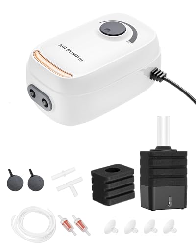 3W/6W Aquarium Air Pump, Adjustable Aquarium Aerator with 2-Outlet, Super-Powerful & Quiet Oxygen Pump for Fish Tanks up to 100/200 Gallon with Full Accessories.(Upgrade Noise-Reduce) - style: AR-10 NEW Pump+Sponge Filter-S