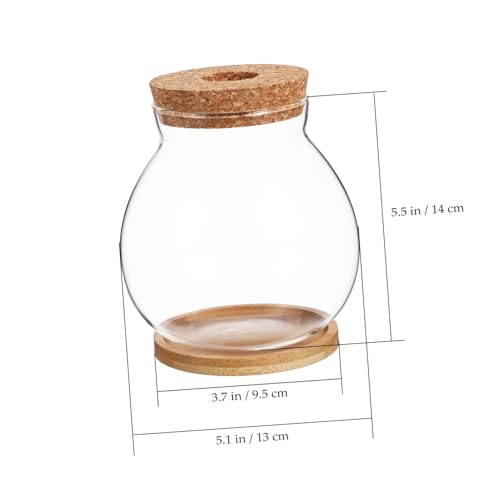 Desktop Glass Fish Bowl with Cushion Hydroponic Terrarium for Betta Fish and Plants Aquarium with Mat for Decor