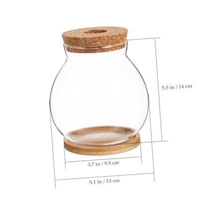 Desktop Glass Fish Bowl with Cushion Hydroponic Terrarium for Betta Fish and Plants Aquarium with Mat for Decor