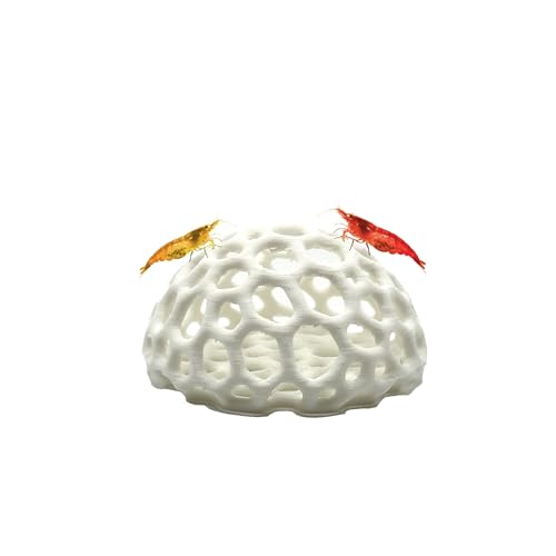 Shrimp Dome Hide - Aquarium Cherry Shrimp Hide Cherry Shimpe Hide (White)