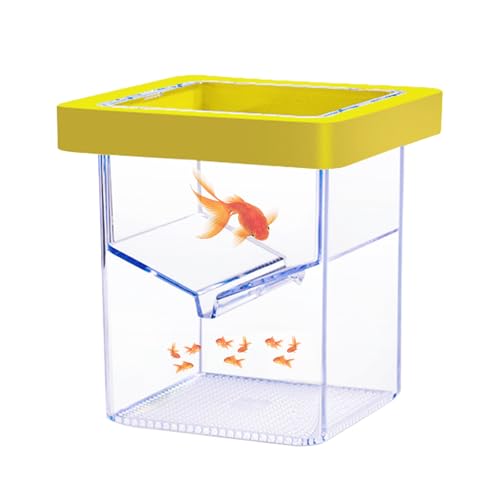 Floating Fish Breeding Isolation Box for Aquarium Tank, Acrylic Isolation Box for Baby Fish, Clownfish, Betta Eggs