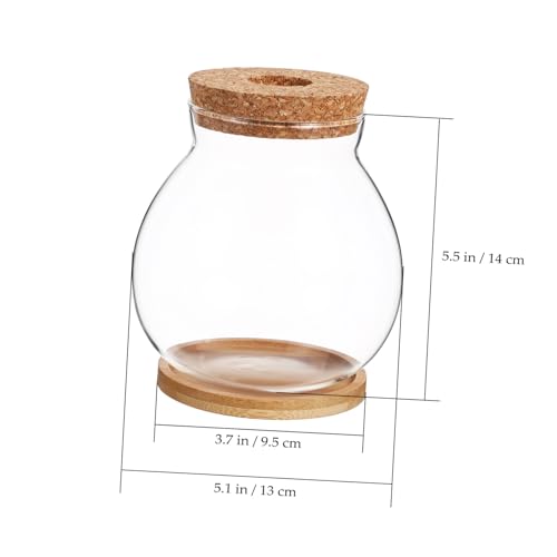 Betta Fish Tank Glass Bowl Lid and Mat for Hydroponic Plants for Desktop Decoration and Small Aquatic Environments