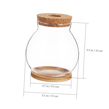 Betta Fish Tank Glass Bowl Lid and Mat for Hydroponic Plants for Desktop Decoration and Small Aquatic Environments
