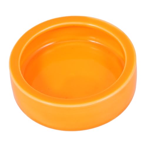 Kisangel Crawler Crawling Pet Escape Food Bowl Orange Feeder Dish for Shrimp Fish and Reptiles Smooth for Aquatic and Terrarium Use