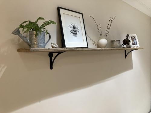 STYLENT Decor Decorative Brass Shelf Bracket, Heavy Duty and Antique Shelf Bracket for Shelving Modern L Shaped Design (Pack of 1) ( Black, 4.5 Inches)