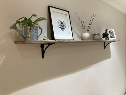STYLENT Decor Decorative Brass Shelf Bracket, Heavy Duty and Antique Shelf Bracket for Shelving Modern L Shaped Design (Pack of 1) ( Black, 4.5 Inches)
