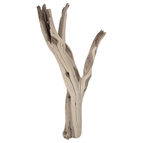 Koyal Wholesale 24" Driftwood Terrarium Decor, Clean California Manzanita Drift Wood Reptile Decor, Driftwood Decor for Home, Desert Reptile Supplies