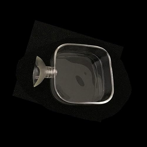Shrimp Food Box, Round/Square Practical Fish Feeding Bowl, Acrylic Transparent Aquarium Accessories Fish Feeding Dish Shrimp Food Feeding Circle(D)
