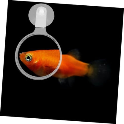 NOLITOY 4pcs Acrylic Glass with Cup for Fish Tank Betta Fish Plants and Spiders Viewing Tool Easy Installation and Sturdy Design