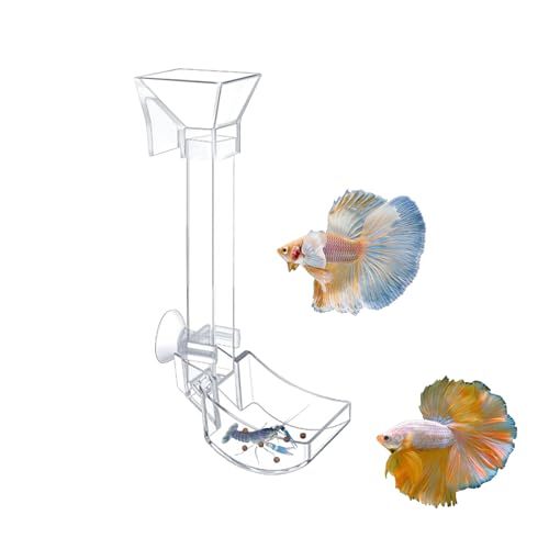 Aquarium Fish Shrimp Feeding Dish Set - Clear Feeder Tube and Dish With Cleaning Brush and Measuring Spoon for Shrimp - Prevents Food Scattering - Supplies for Small Fish