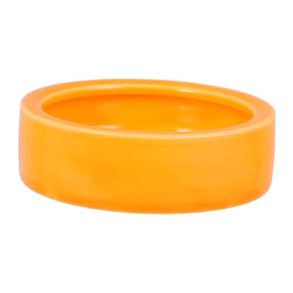 Pet Bowl Escape Reptile Bowl Guinea Pig Feeder Shrimp Feed Dish Fish Tank Decor