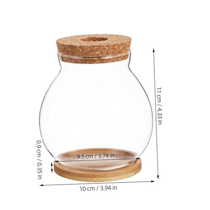 Hydroponic Glass Fish Bowl with Lid Small Desktop Aquarium 10x11cm Mini Glass Fish Tank with Mat for Office and Home Decor