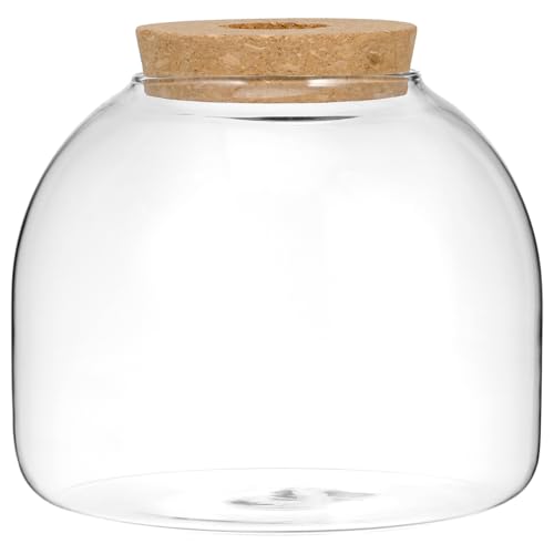 Milisten Glass Terrarium Jar with Cork Lid, 5.9×5.3 in Desktop Hydroponic Plant Container, Air Plant Propagation Vase for Home Office Decor & Miniature Garden Display - size: 15X13cm