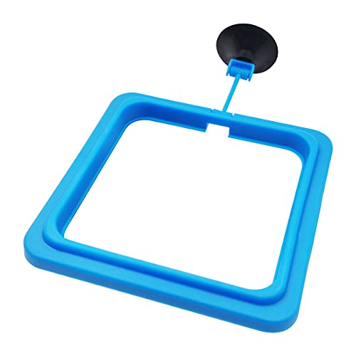 Fish Feeding Ring Floating Food Feeder Circle with Suction Cup Easy to Install Aquarium (Square) - color: blue