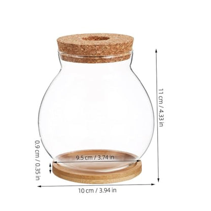 VICASKY Small Glass Fish Bowl with Lid and Mat, 10x11cm Hydroponic Mini Betta Fish Tank, Compact Terrarium Jar for Desktop Aquarium and Home Decor