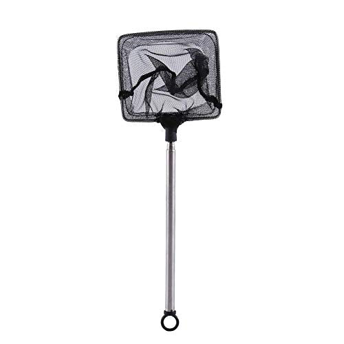 Fishing Landing Net Fish Aquarium Accessories Net Fish Net Fish Skimming Net Goldfish Net Mini Adjustable Telescopic Fishes Shrimps Landing Net for Aquarium Fishbowl Fish () - color: Square