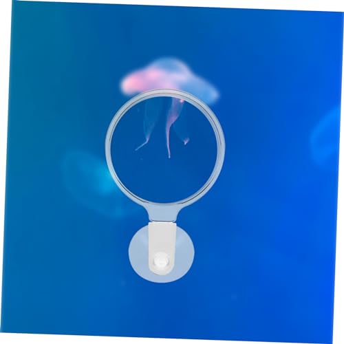 BESPORTBLE Aquarium Glass Cup for Observing Small Fish Betta Fish Ants and Plants Easy to Install Stable and View
