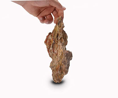 Natural Dragon Stones (16lbs, 2~8 inches,7-8pcs) for Aquascaping Terrariums, Paludariums,Vivariums, Reptile and Amphibian Enclosures - size: 01 Dragon(Ohko) Stone(2-8inch,16lbs)