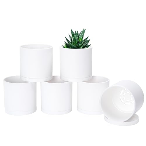 D'vine Dev 6 Pack 4 Inch Modern Plastic Plant Pots, Small Garden Planters for Plant with Drainage Holes and Saucers, White Color, 74-Z-E-3 - size: 4"