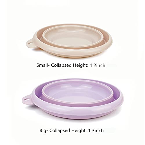 2Pack Collapsible Wash Basin Collapsible Dish Tub Portable Sink,Space Saving for Dishing, Fruit, and Camping, Hiking and Home