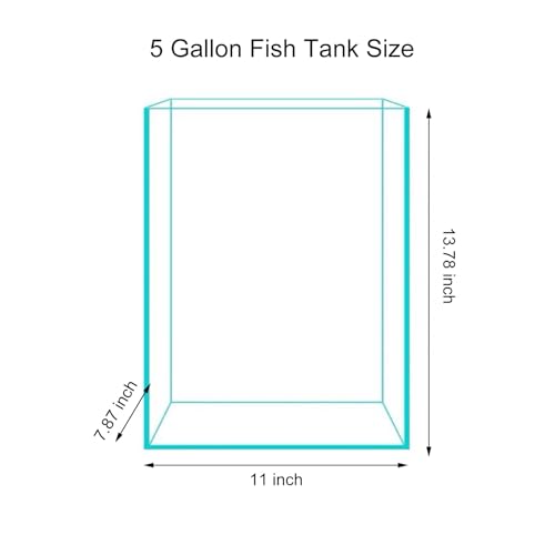 5 Gallon Glass Fish Tank, Easy to Maintain Small Aquarium for Betta/Snails/Shrimp and Aquatic Planting.