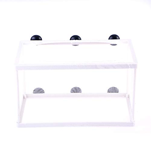 Fish Box- Aquarium Hatchery Net, Fish Breeding Box with Suction Cup for Aquarium Fish Tank (Size L)