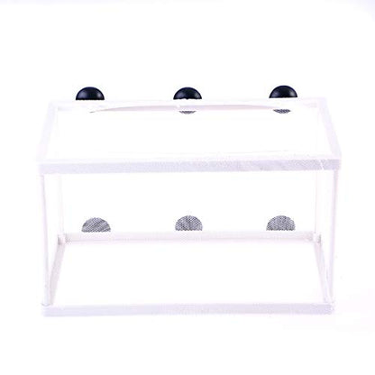 Fish Box- Aquarium Hatchery Net, Fish Breeding Box with Suction Cup for Aquarium Fish Tank (Size L)