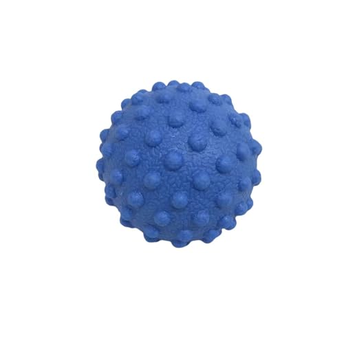NGT new guide steps Fascia Ball, Suitable for Relaxing Muscles, Restoring Fascia, and Improving Body Condition for All Parts of the Body. (Blue) - color: Blue