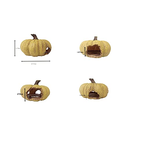 Shelltech Reptile Hideout Resin Aquarium Decoration Pumpkin House for Small Fish，Shrimps,Frogs,Gecko, Spider,Turtle and Snake (Pumpkin)
