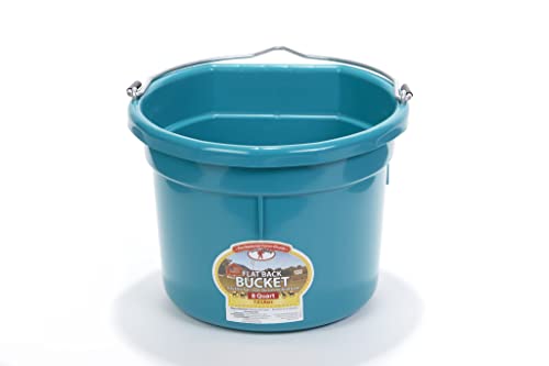 Little Giant® Flat Back Plastic Animal Feed Bucket | Animal Water and Feed Bucket with Metal Handle | 8 Quarts | Teal - color: Teal