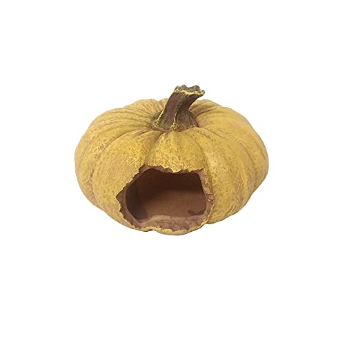 Shelltech Reptile Hideout Resin Aquarium Decoration Pumpkin House for Small Fish，Shrimps,Frogs,Gecko, Spider,Turtle and Snake (Pumpkin)