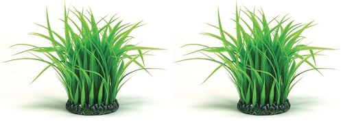 biOrb Grass Ring, Medium (Pack of 2) - size: Medium (Pack of 2)