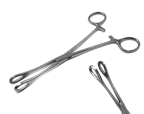 A2Z-Aquascaping Maintenance Tools Accessories,Anti-Rust Stainless Steel Tweezers Scissors Spatula for Aquarium Tank Clean, Fish Tank, Bonsai, Algae Scrapers (7" Coral Hemostat Forceps - Straight) - size: 7" Coral Hemostat Forceps - Straight