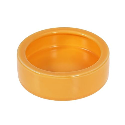 Pet Bowl Escape Reptile Bowl Guinea Pig Feeder Shrimp Feed Dish Fish Tank Decor
