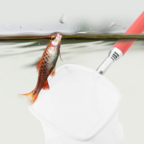Green/Red Square Round Metal Aquarium Fish Net Mini Size Extendable Telescopic Fish Shrimp Landing Net Aquarium Fish Tank Tool