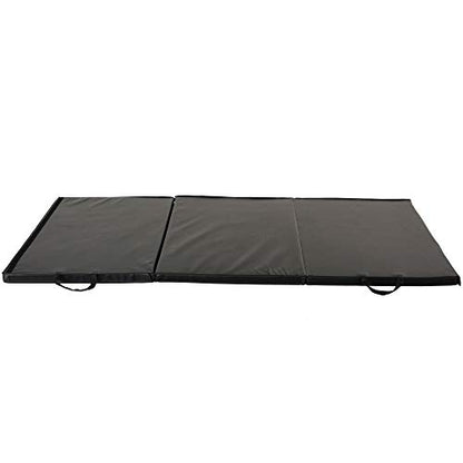 Sunny Health & Fitness Durable Multi-Use Floor Mats for Home, Gym & Play | Exercise Floor Mat, Cushioned Support, Connect Multiple Mats, Easy-Clean Surface, Home Gym, Playroom, Floor Protection - style: 6 FT x 3 FT
