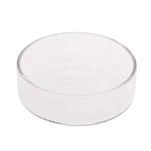 Fish Tank Feeding Bowl Dish Tray Feeder Aquarium Shrimp Glass - A