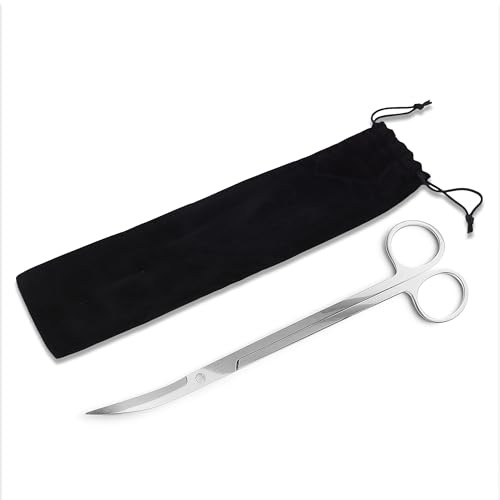 Mandala Crafts 12 Inches Silver Stainless Steel Curved Aquarium Scissors for Trimming Aquatic Plants – Bent Aquascape Scissors for Fish Tanks, Hospital Tanks, Goldfish Bowls, and Terrariums